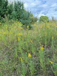 West Avenue Rodney, MI 49342 - Photo 6 of 6 IMG_0657
