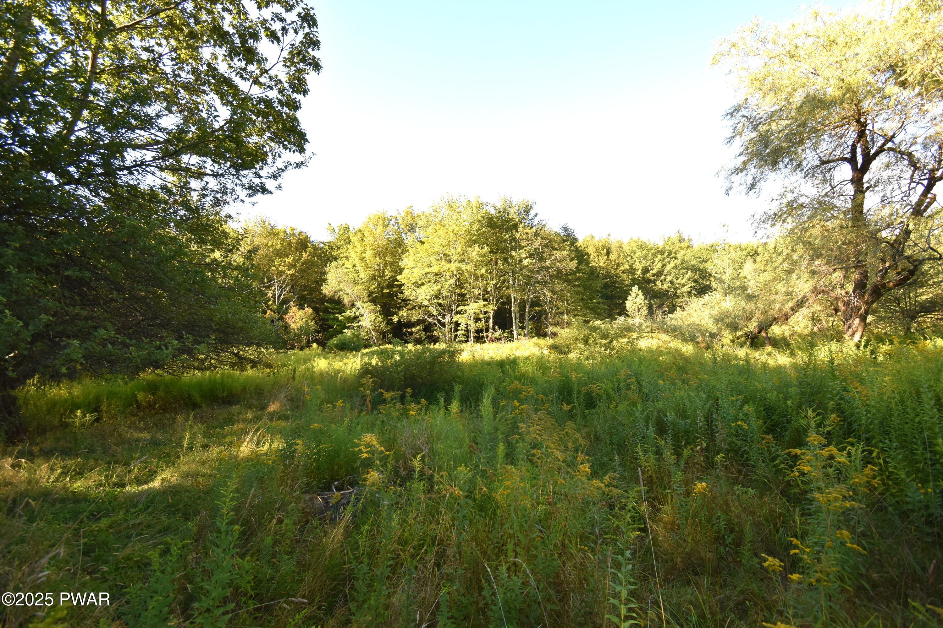 430 Flat Rock Road Forest City, PA 18421 - Photo 10 of 22
