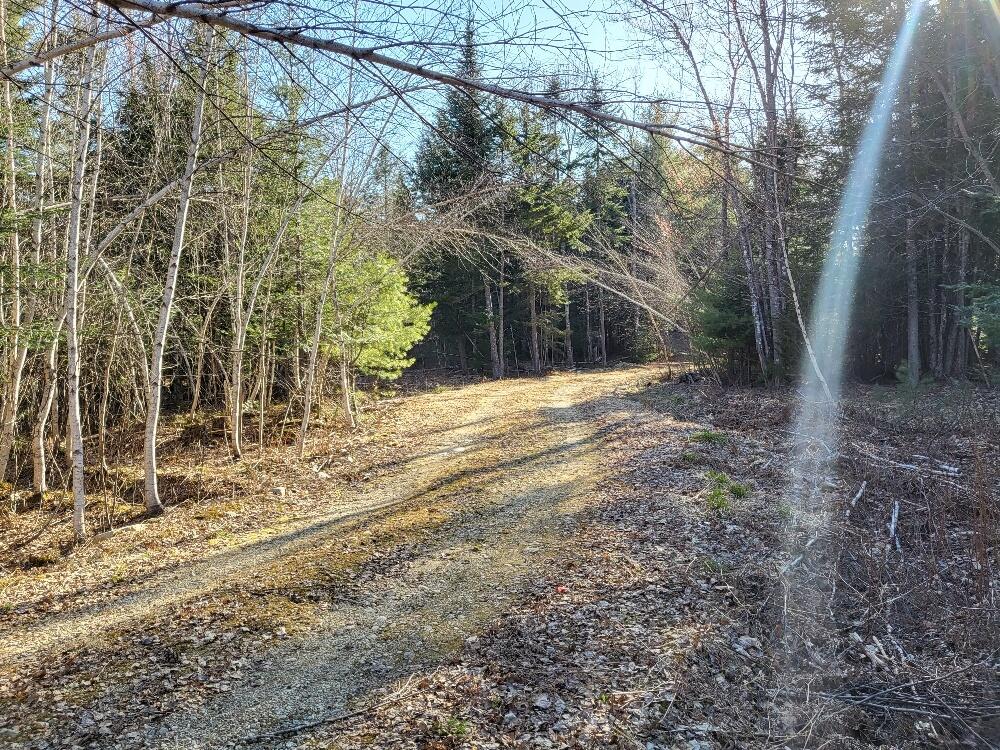 Lot 17 L15-3 Coburn Road Carthage, ME 04224 - Photo 2 of 16 20240422_172031_resized