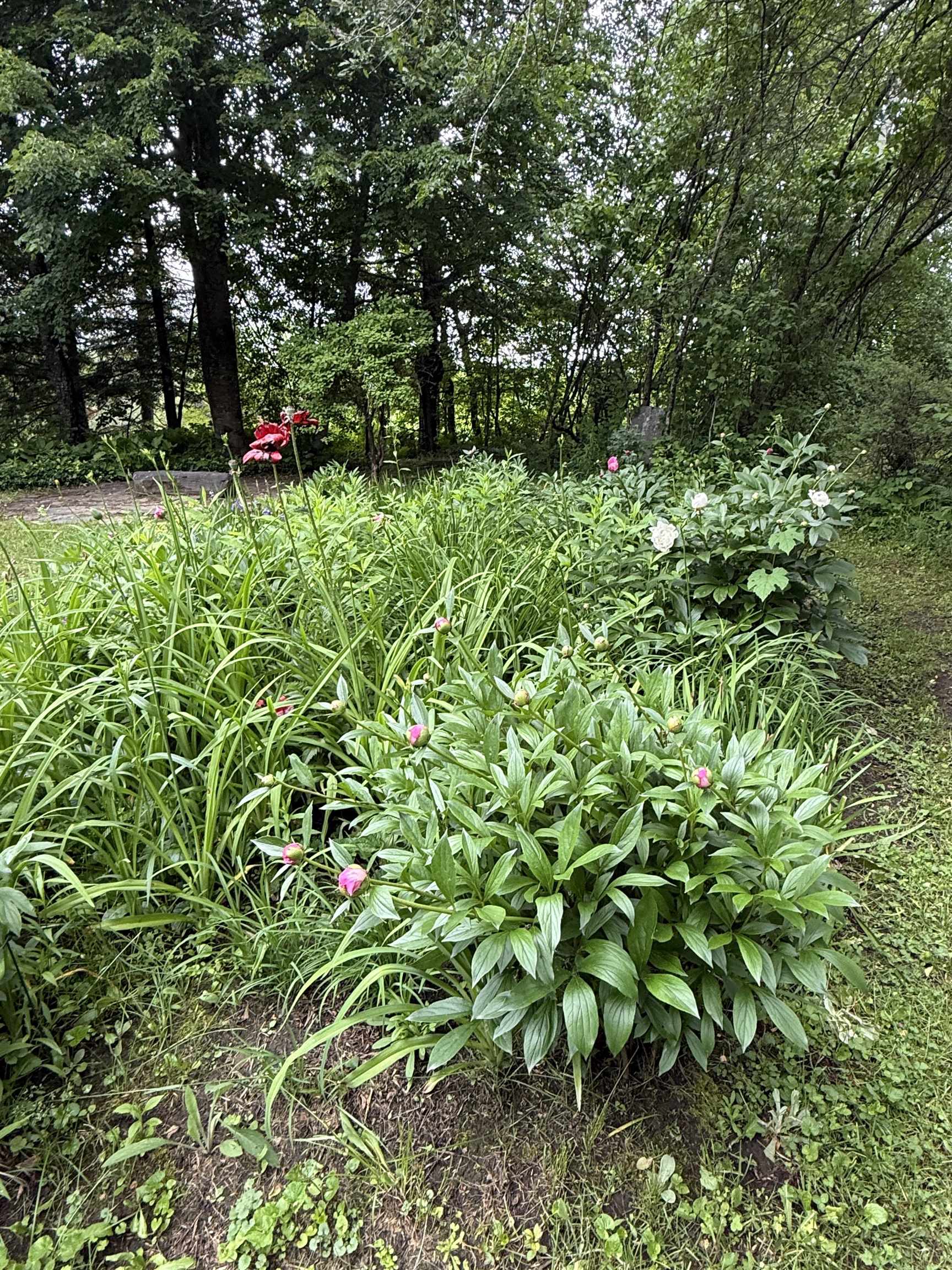 2650 Tampico Road Danville, VT 05828 - Photo 48 of 60