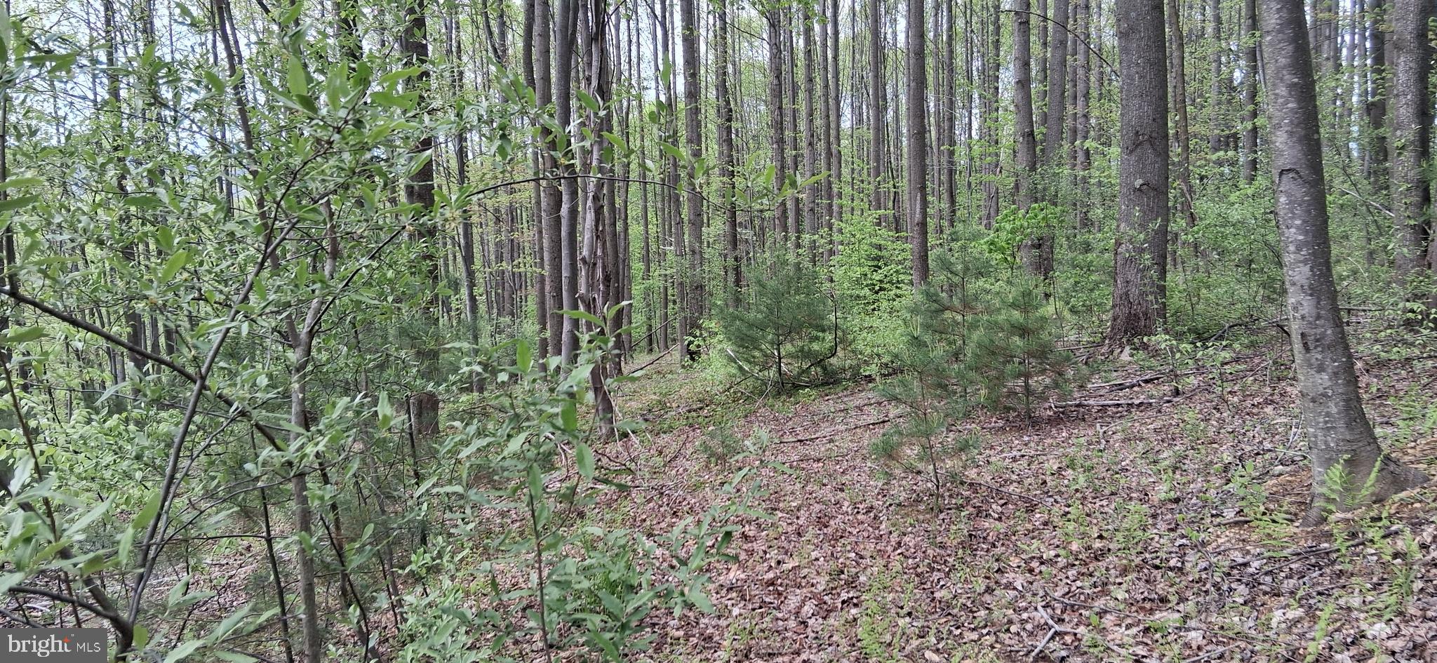 0 Teaberry Road Bedford, PA 15522 - Photo 20 of 28 Gallery Image 20
