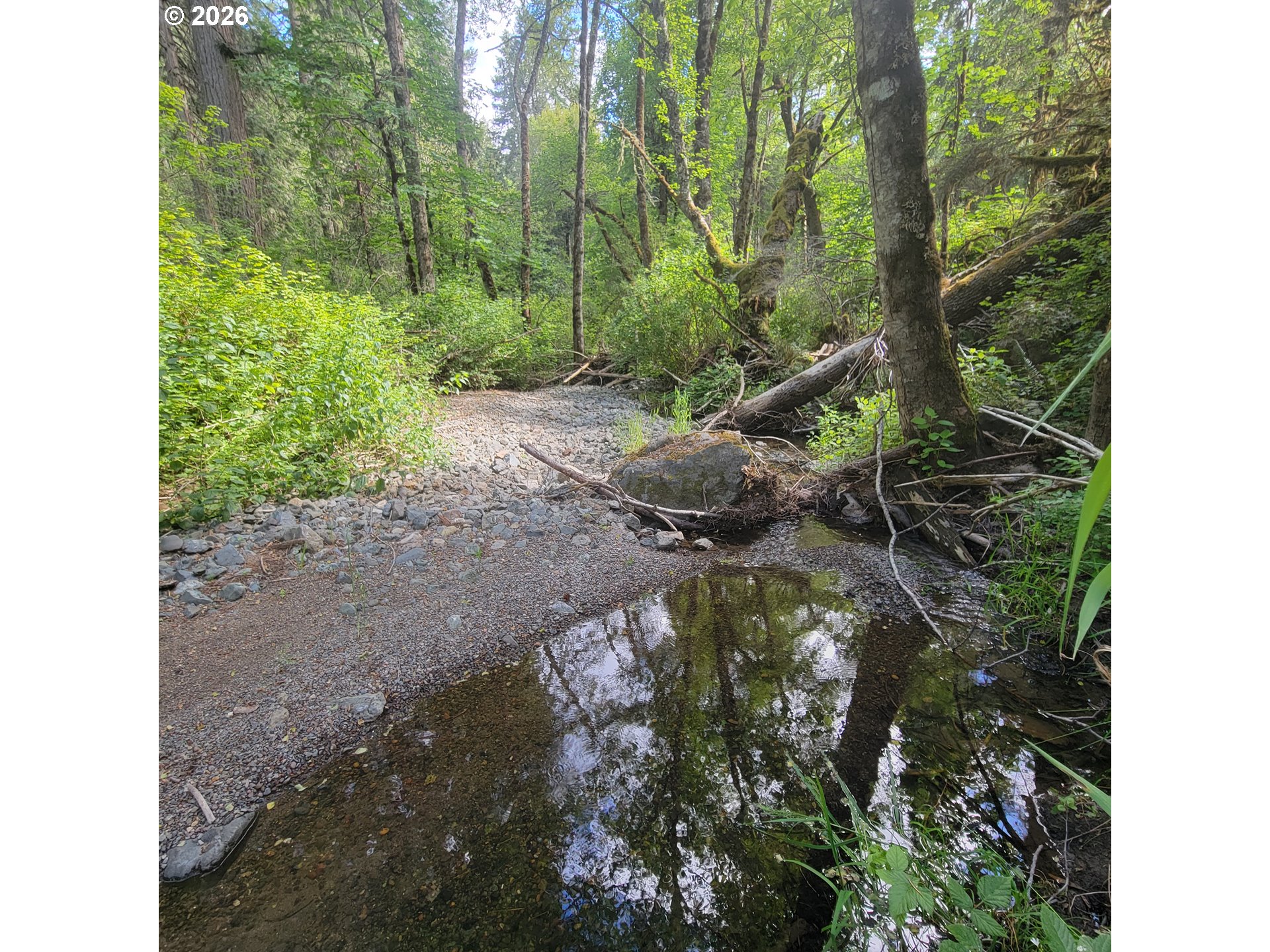 0 Rice Creek Road Winston, OR 97496 - Photo 17 of 39 Gallery Image 17
