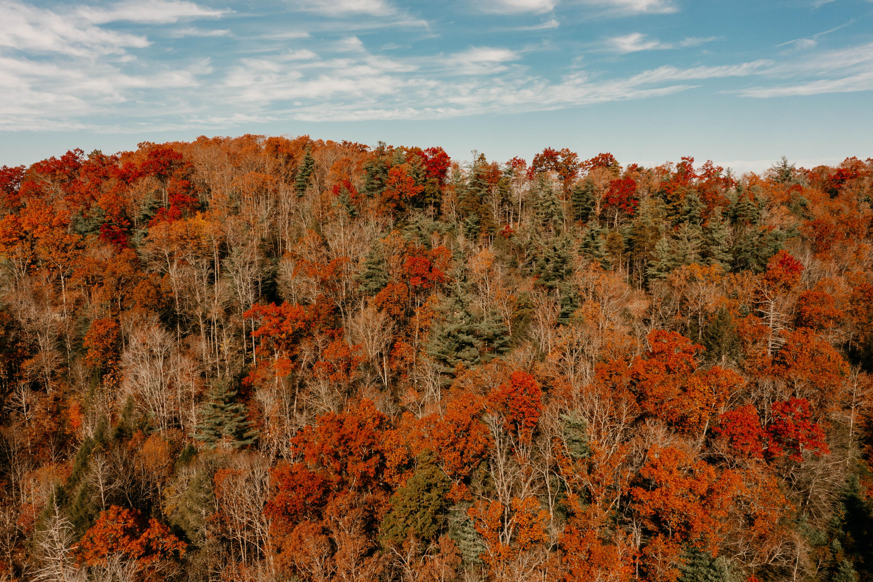 514 Adams Road Pine Ridge, KY 41360 - Photo 23 of 51 DJI_0065