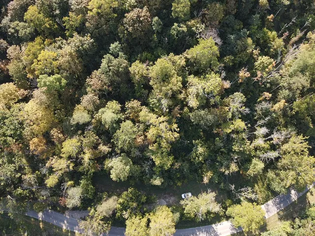 $45,000 | 14246 North Branch Road, Patriot, IN 47038