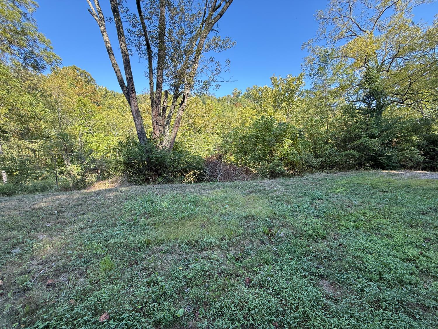 14246 North Branch Road Patriot, IN 47038 - Photo 4 of 14