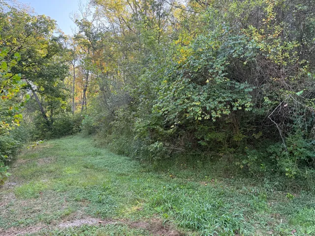 $45,000 | 14246 North Branch Road, Patriot, IN 47038