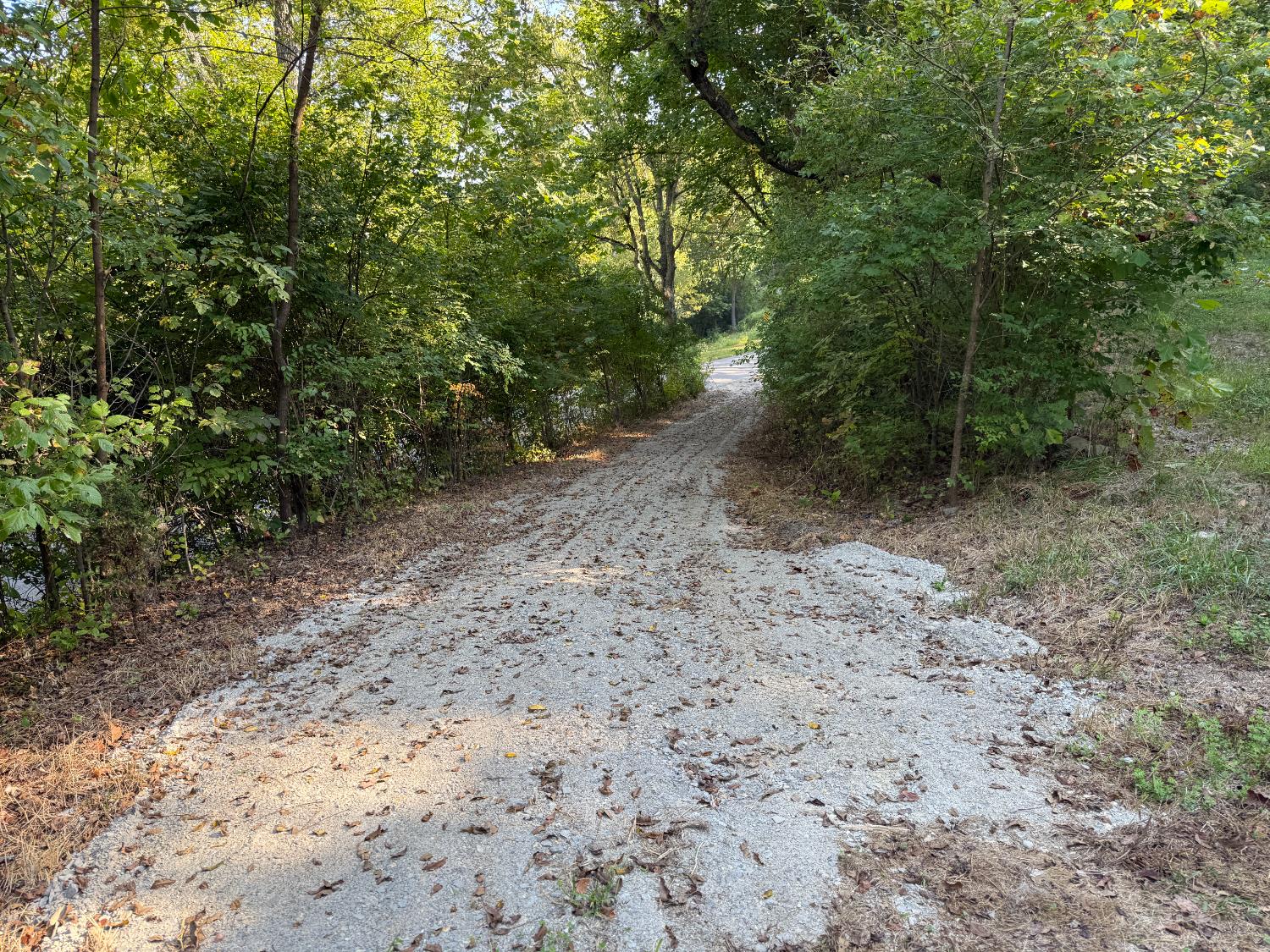 14246 North Branch Road Patriot, IN 47038 - Photo 7 of 14