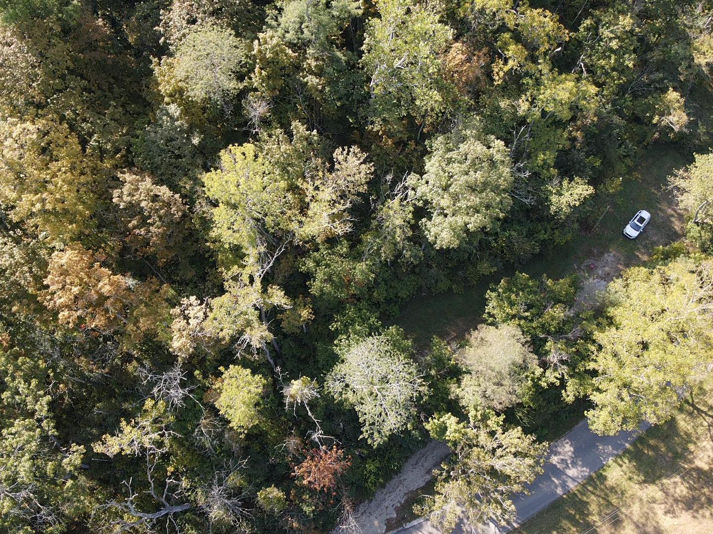 14246 North Branch Road Patriot, IN 47038 - Photo 8 of 14