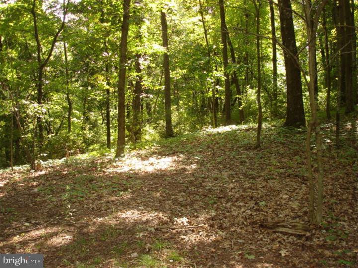 0 North Dutchtown Road Ashland, PA 17921 - Photo 1 of 6