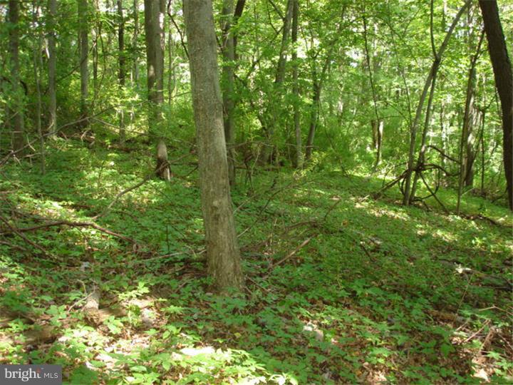0 North Dutchtown Road Ashland, PA 17921 - Photo 5 of 6