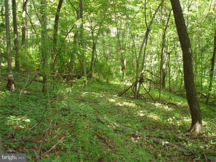 0 North Dutchtown Road Ashland, PA 17921 - Photo 6 of 6