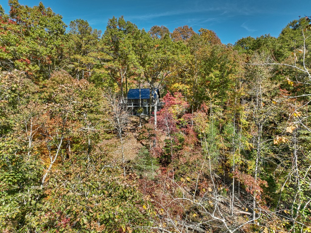 211 Little Creek Trail Blue Ridge, GA 30513 - Photo 11 of 73 Gallery Image 11