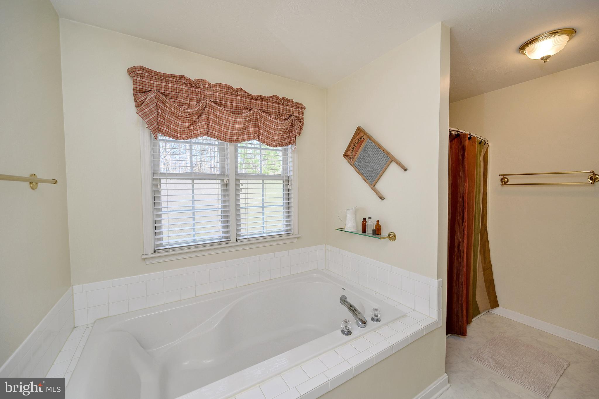 9093 Mullen Road King George, VA 22485 - Photo 21 of 39 Master bath with soaking tub