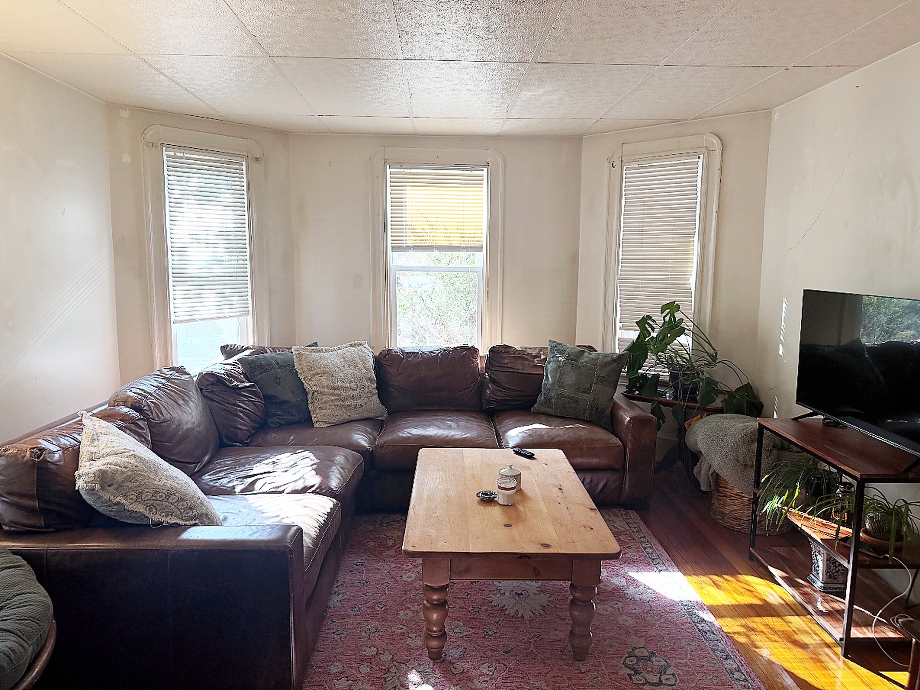 34 Holyoke Road Somerville, MA 02144 - Photo 2 of 16 Gallery Image 2