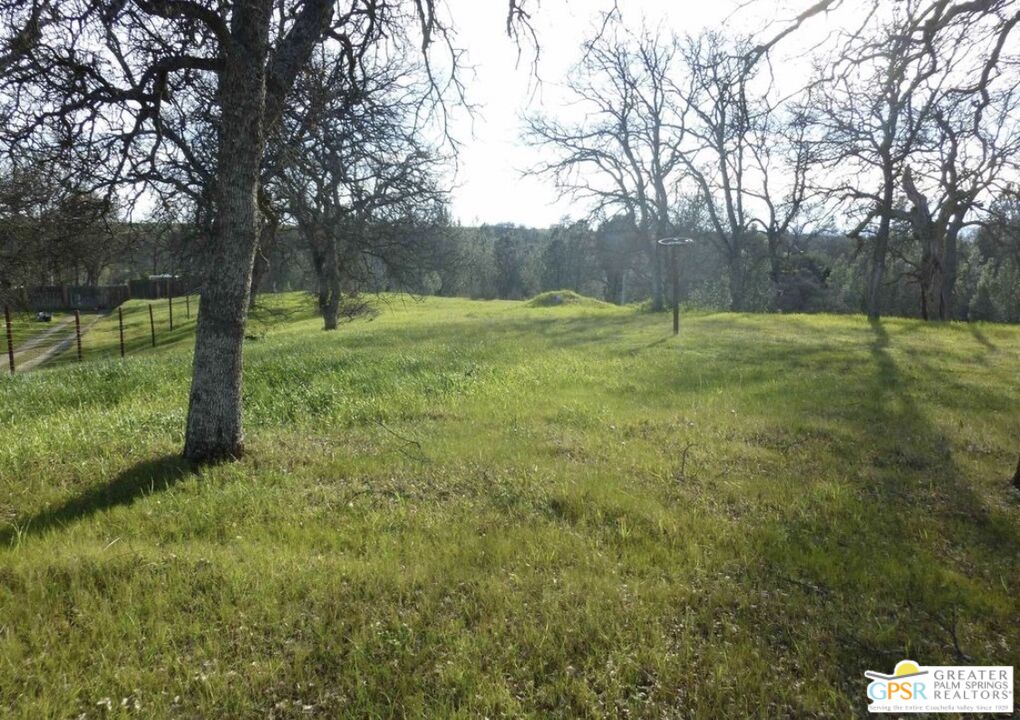 17333 Wagonwheel Road Corning, CA 96021 - Photo 3 of 12 a view of a garden