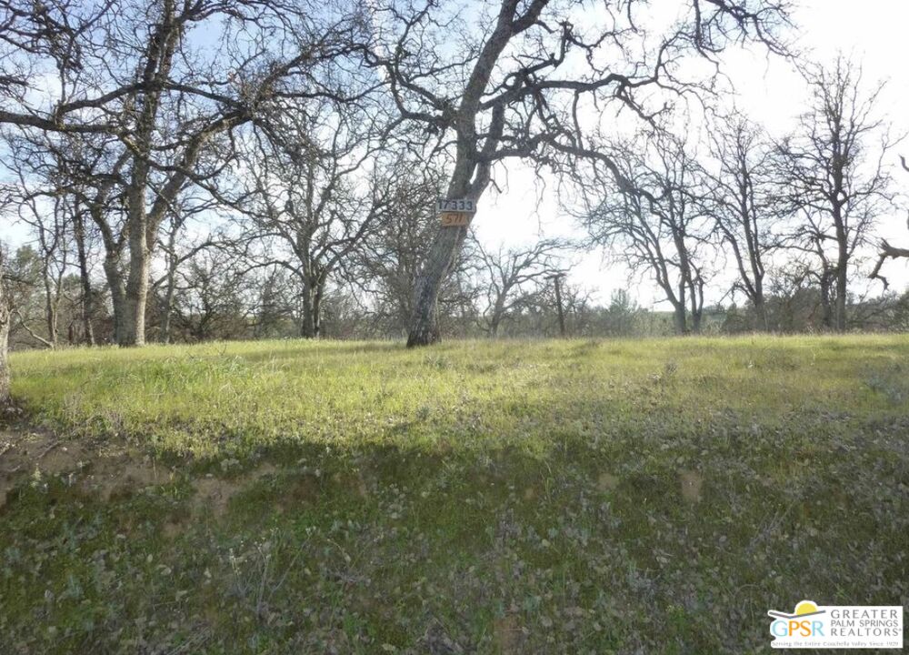 17333 Wagonwheel Road Corning, CA 96021 - Photo 4 of 12 a view of a green field