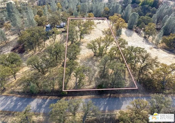 a view of backyard with wooden fence and large trees