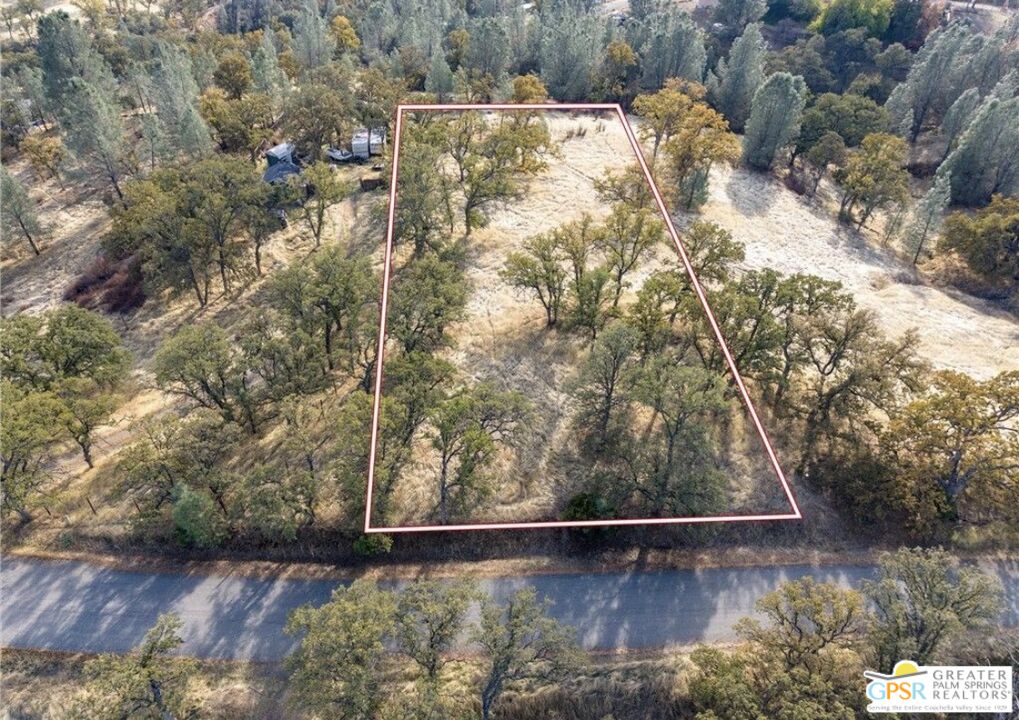 17333 Wagonwheel Road Corning, CA 96021 - Photo 5 of 12 a view of backyard with wooden fence and large trees