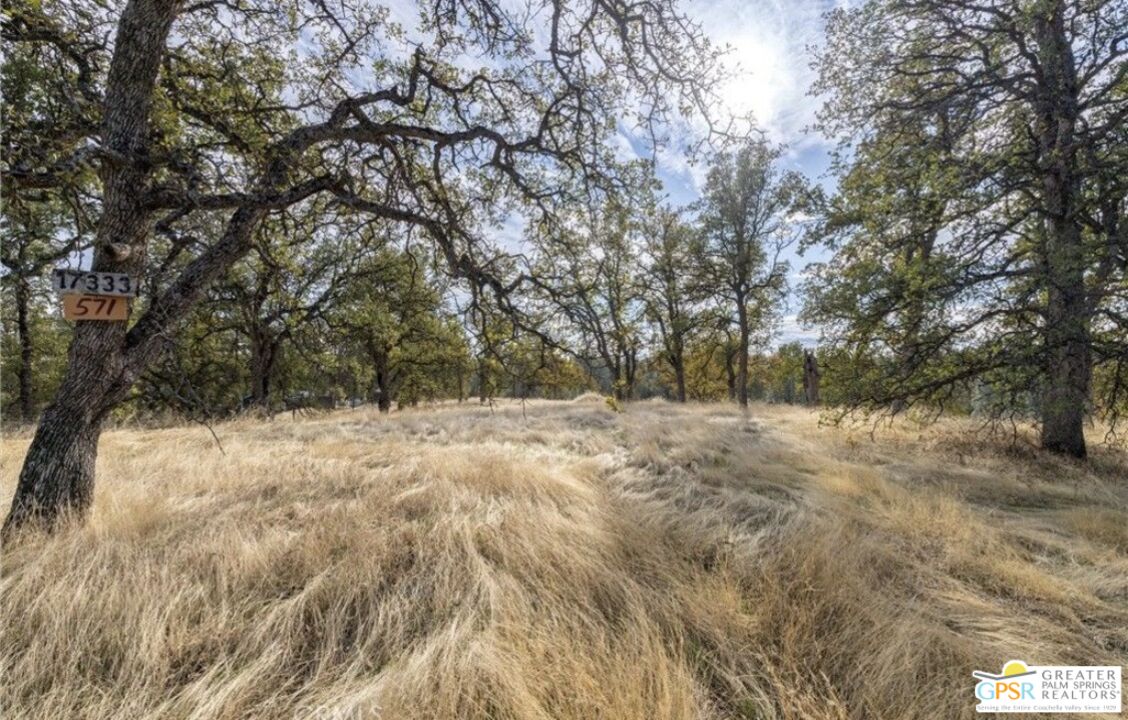 17333 Wagonwheel Road Corning, CA 96021 - Photo 8 of 12 a view of a yard with a tree