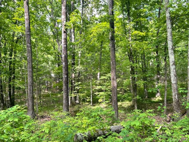 Joel M Austin Road North Cairo, NY 12413 - Photo 3 of 5