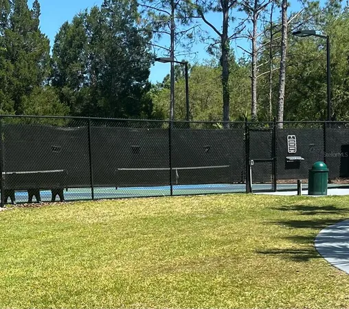 $3,000 | 20027 Heritage Point Drive, Tampa, FL 33647