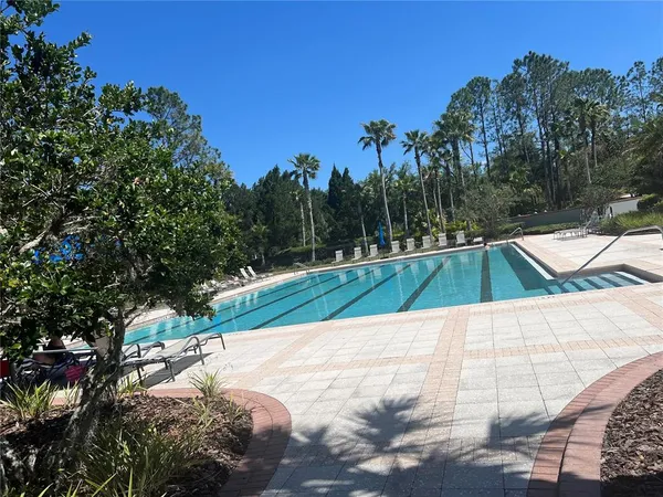 $3,000 | 20027 Heritage Point Drive, Tampa, FL 33647