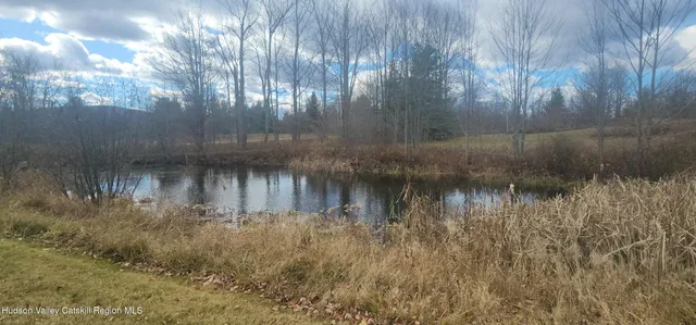 $1,199,000 | 133 Old Field Road, Jewett, NY 12444