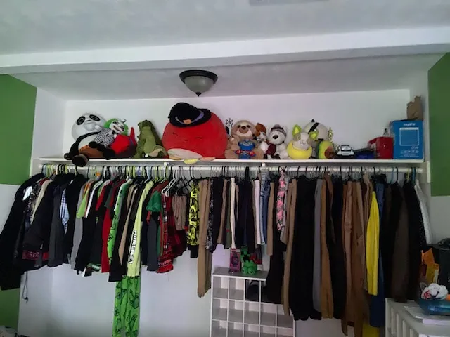 a living room with a couch and a potted plant