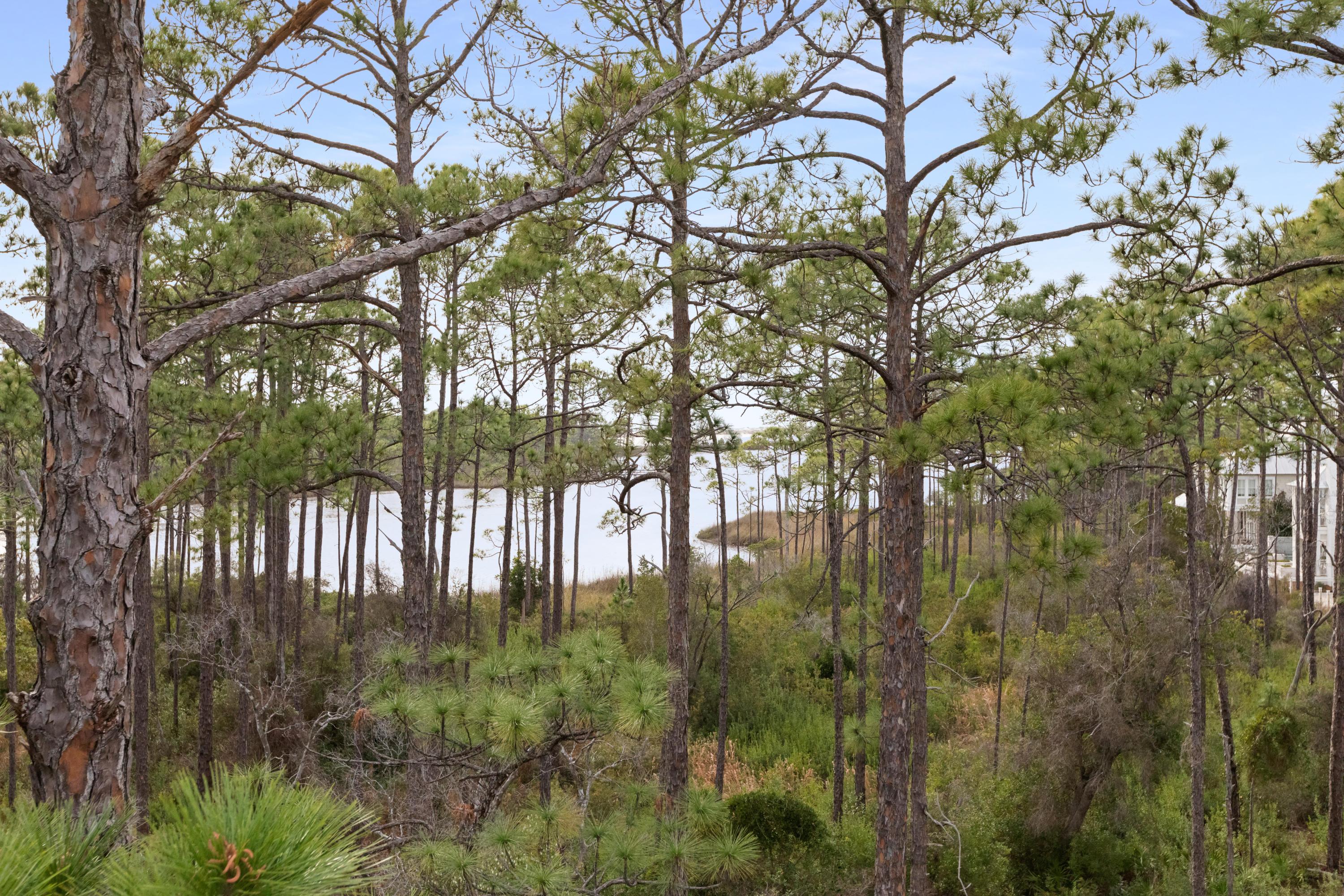 45 Vermilion Way Santa Rosa Beach, FL 32459 - Photo 38 of 54 More view from third floor porch