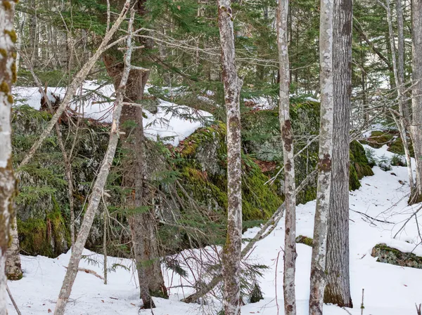 $165,000 | 0 Sebasco Road, Phippsburg, ME 04562