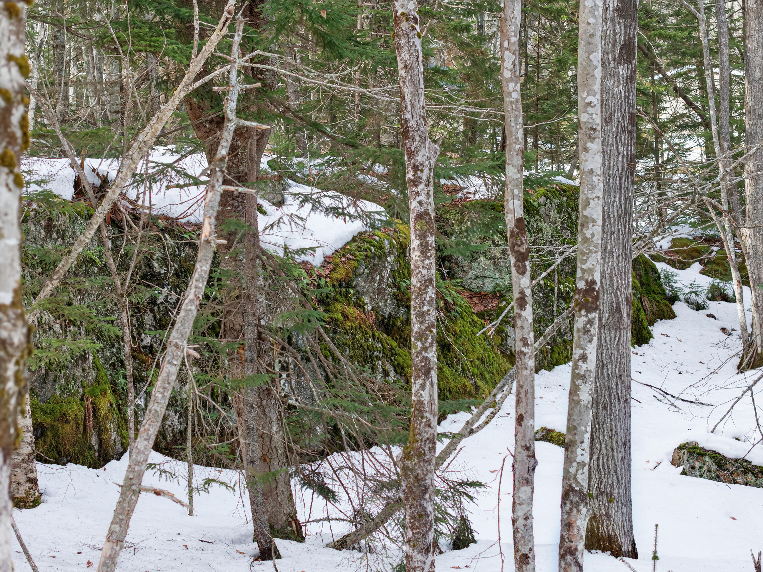 0 Sebasco Road Phippsburg, ME 04562 - Photo 11 of 25 Lot TBD Sebasco Rd_0127