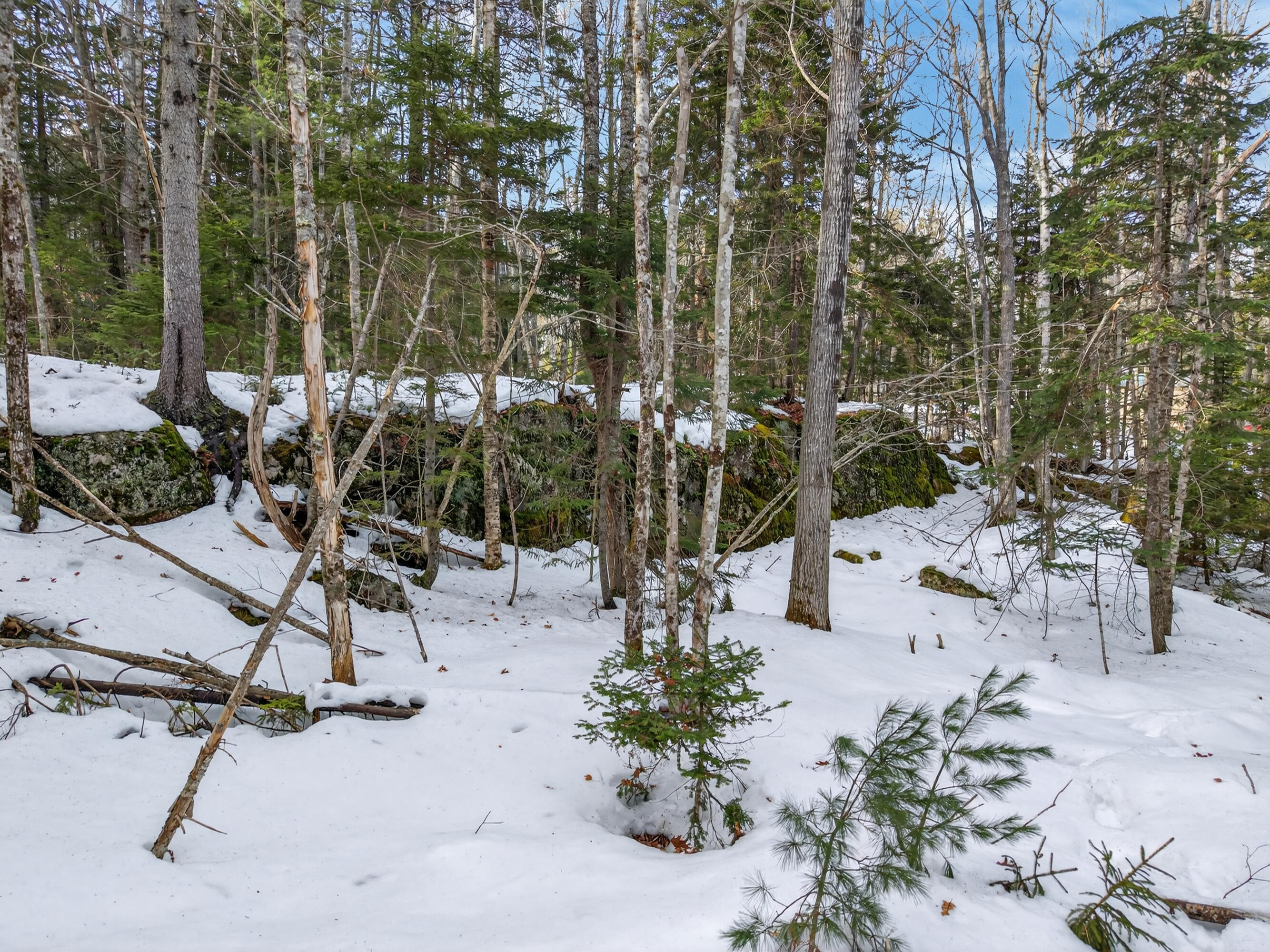 0 Sebasco Road Phippsburg, ME 04562 - Photo 12 of 25 Lot TBD Sebasco Rd_0126