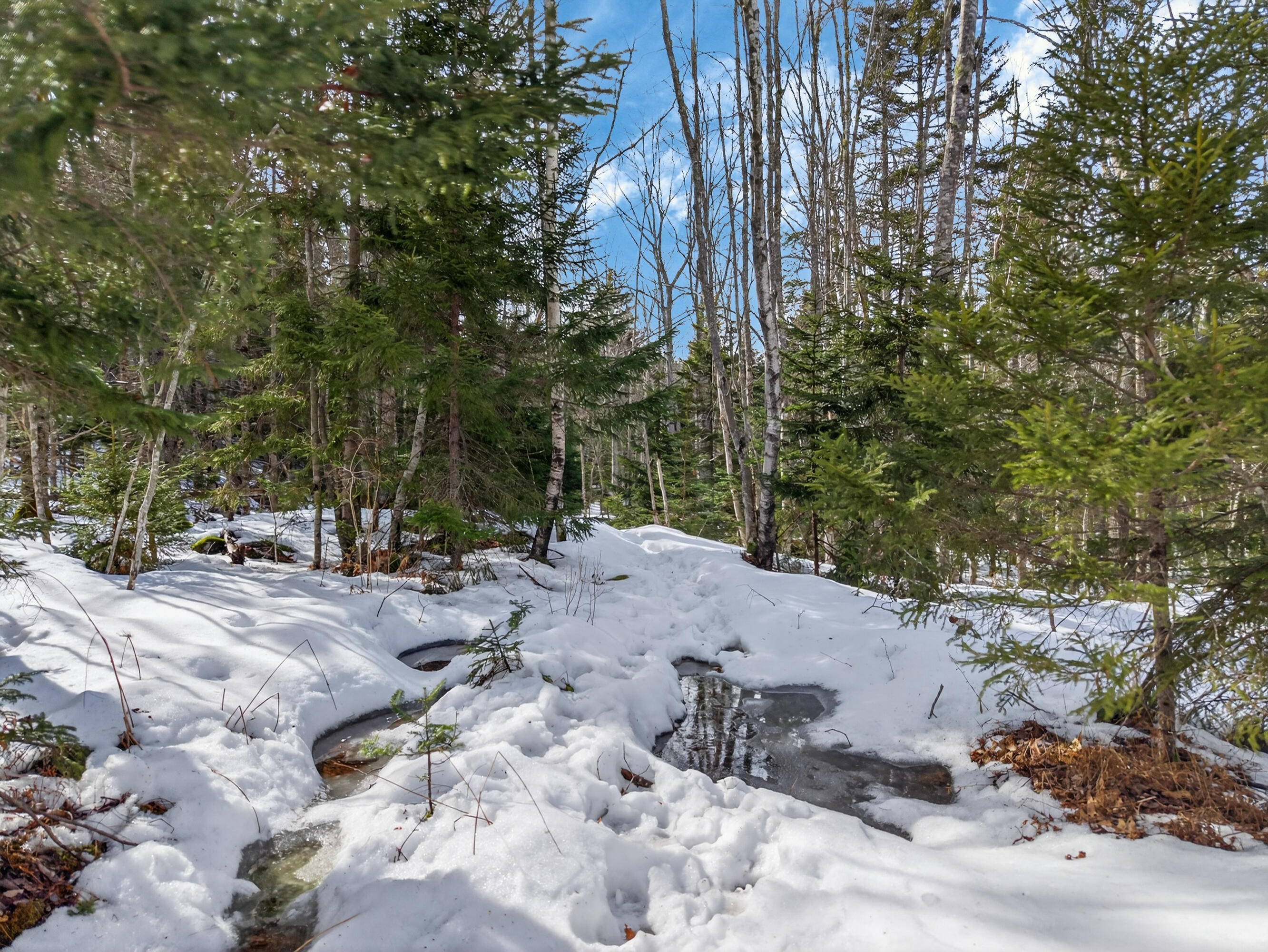 0 Sebasco Road Phippsburg, ME 04562 - Photo 7 of 25 Lot TBD Sebasco Rd_0120