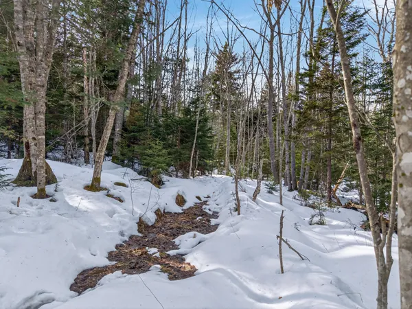 $165,000 | 0 Sebasco Road, Phippsburg, ME 04562