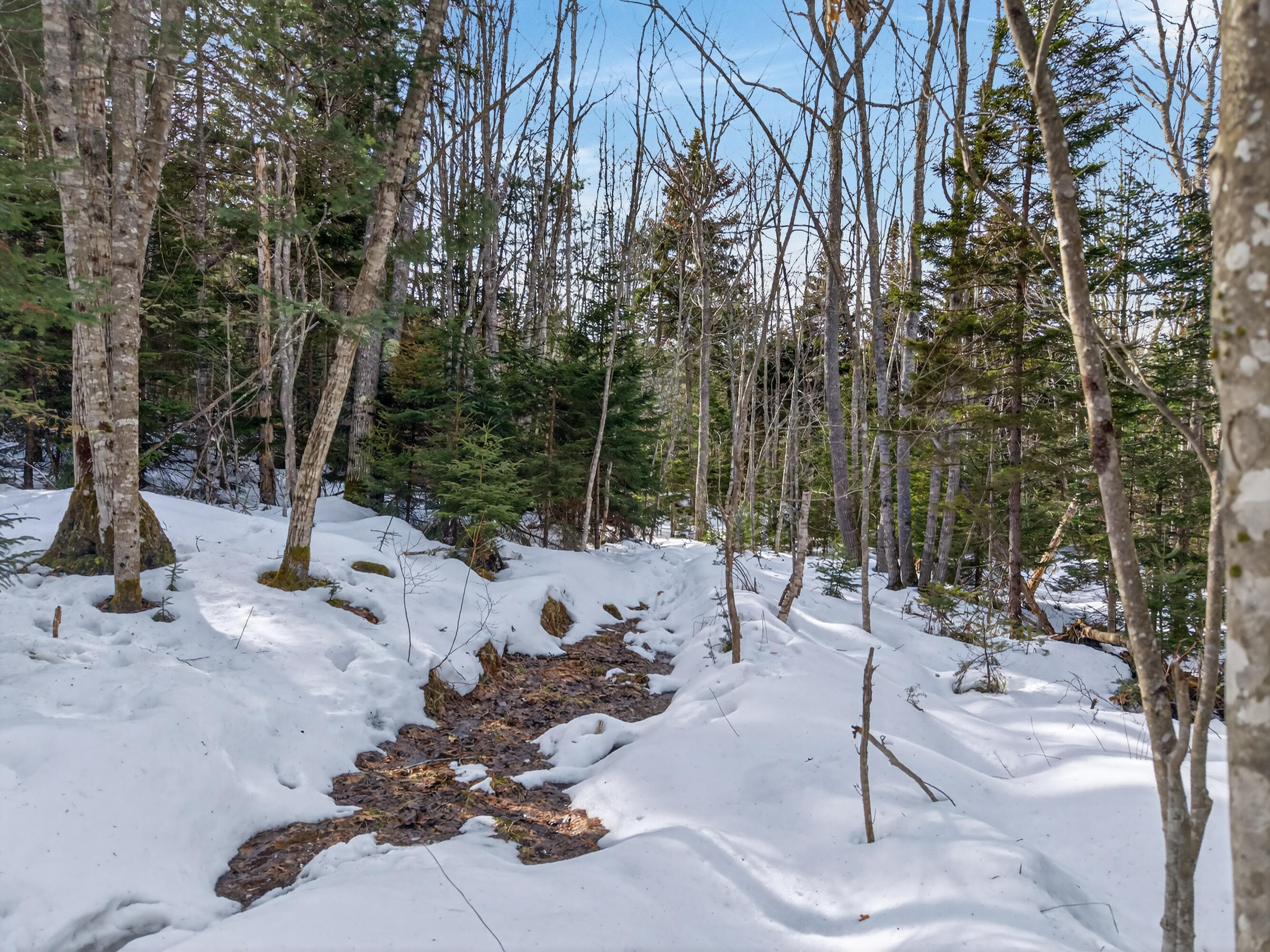 0 Sebasco Road Phippsburg, ME 04562 - Photo 8 of 25 Lot TBD Sebasco Rd_0121