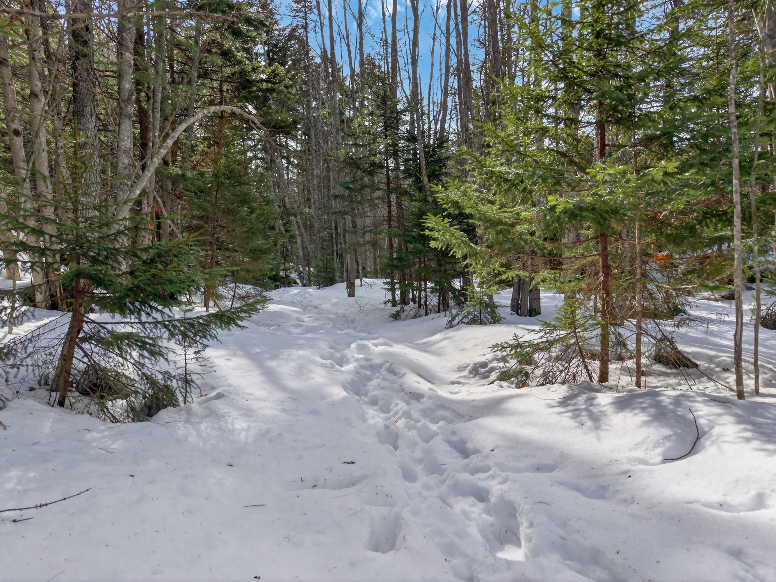 0 Sebasco Road Phippsburg, ME 04562 - Photo 9 of 25 Lot TBD Sebasco Rd_0122