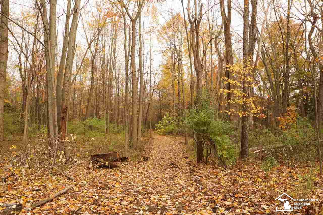 0 West Rauch Road Petersburg, MI 49270 - Photo 1 of 6