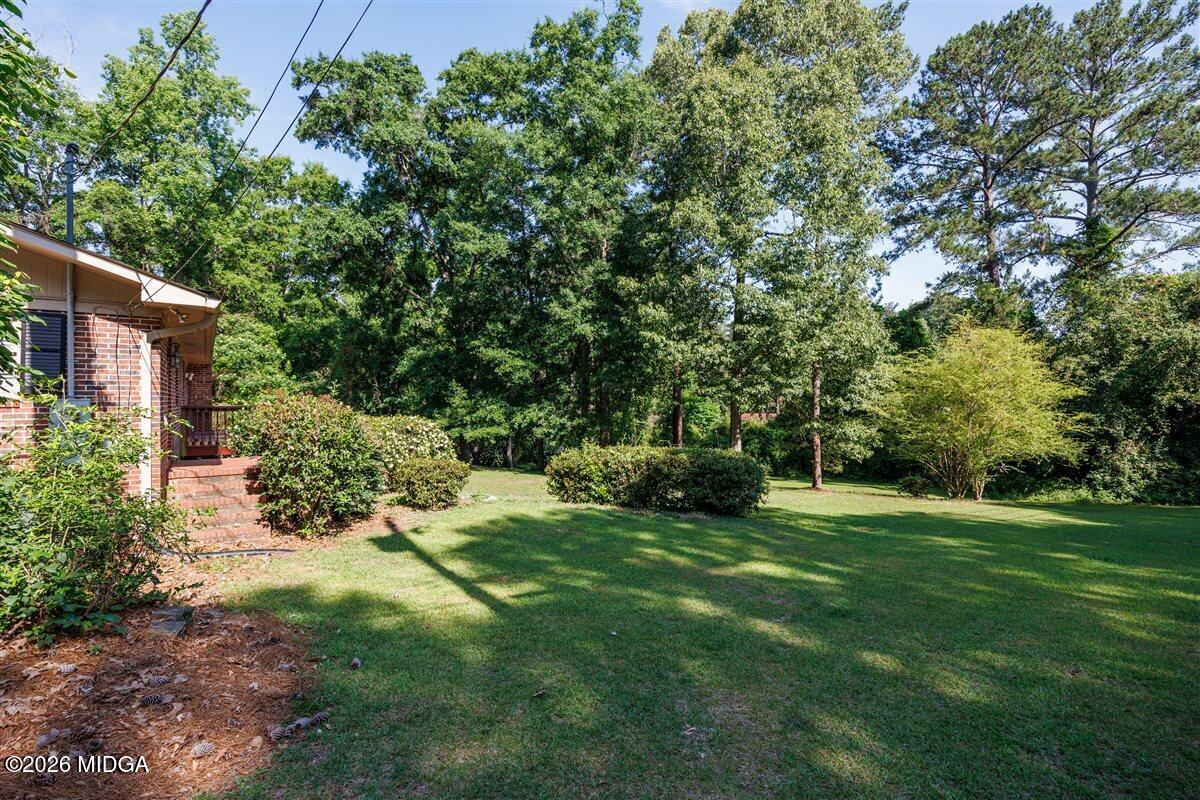 335 Hamrick Road Macon, GA 31220 - Photo 37 of 41 a view of a tree in front of a house