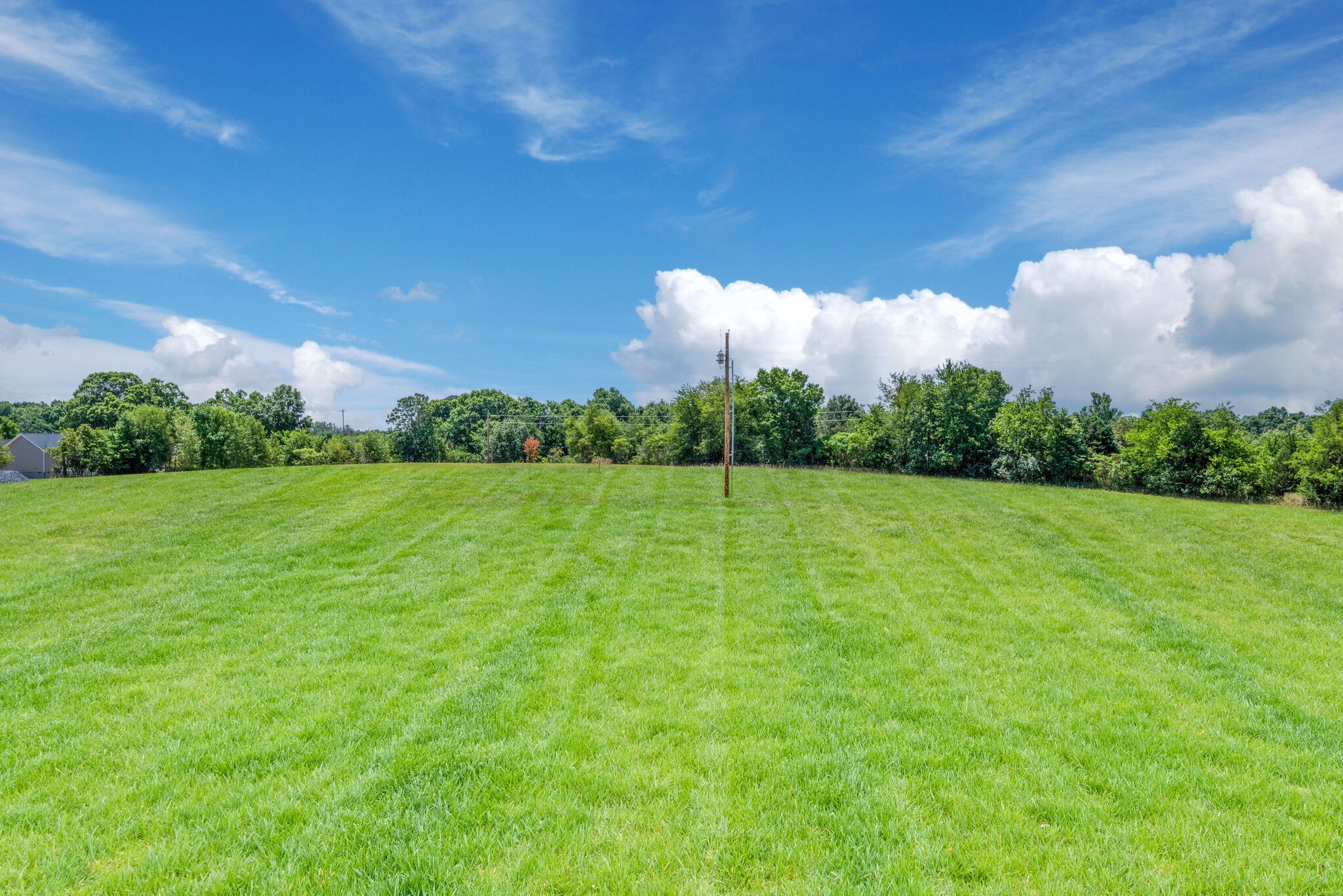 1202 Oak Grove Road Dickson, TN 37055 - Photo 2 of 28 a view of a green yard