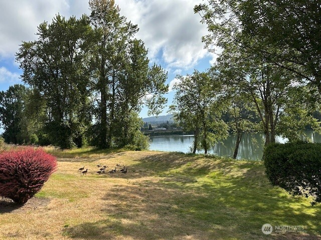 1548 River Road, Unit 105 Longview, WA 98632 - Photo 20 of 25 a swimming pool with an outdoor space