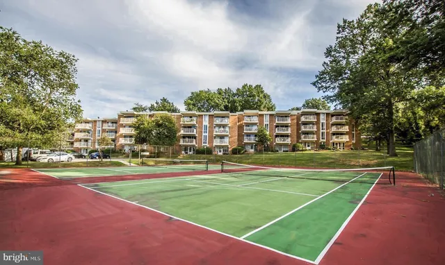a view of a tennis ground with large trees