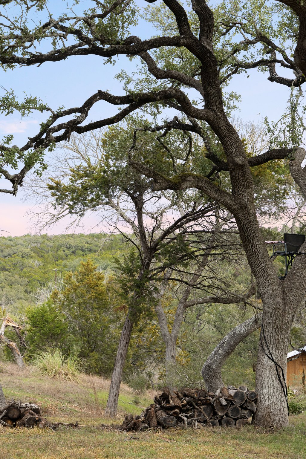 412 Rancho Grande Drive Wimberley, TX 78676 - Photo 37 of 37 View of undeveloped land