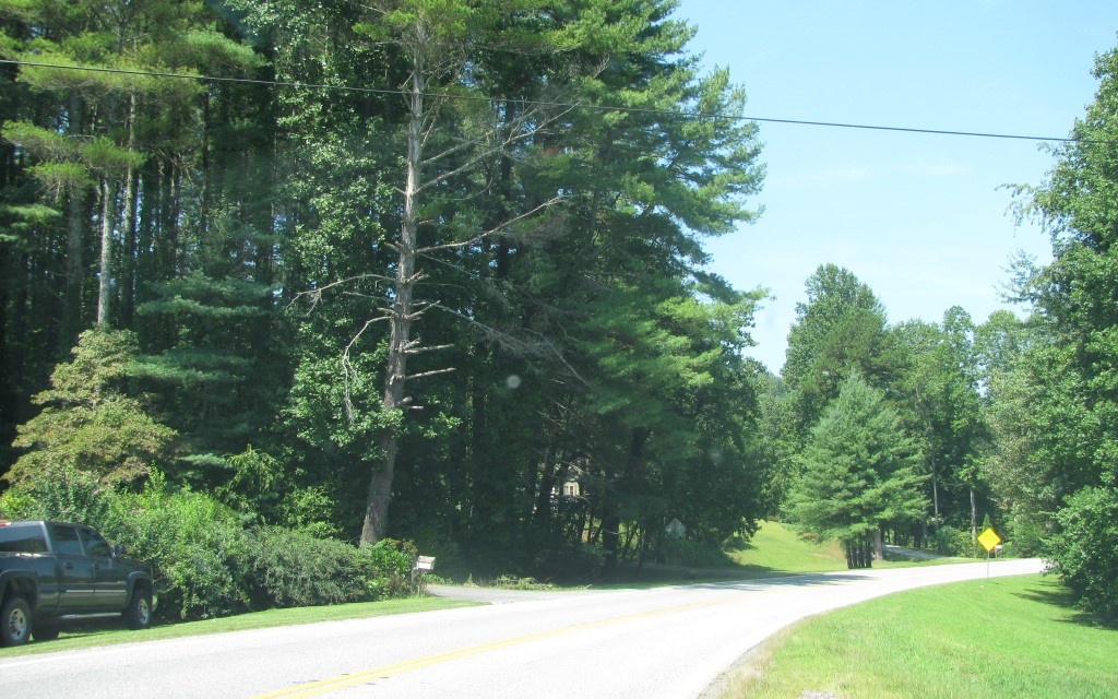 Sunnyside Road Hiawassee, GA 30546 - Photo 2 of 21 Additional View