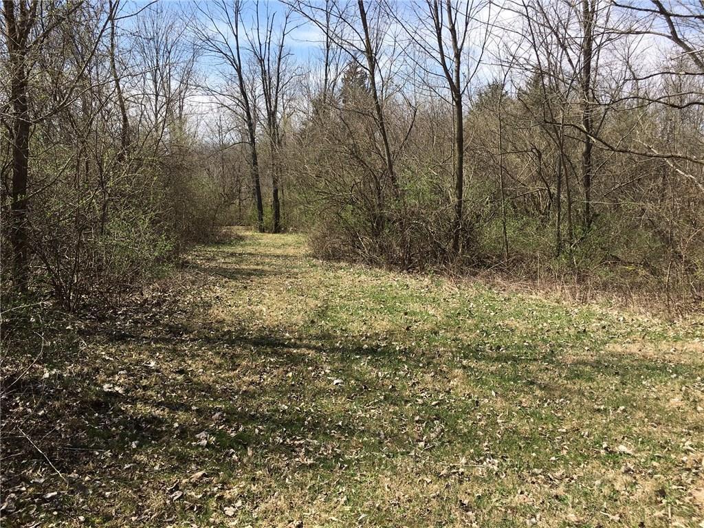 5201 Willow Dale Road Springfield, OH 45502 - Photo 5 of 7