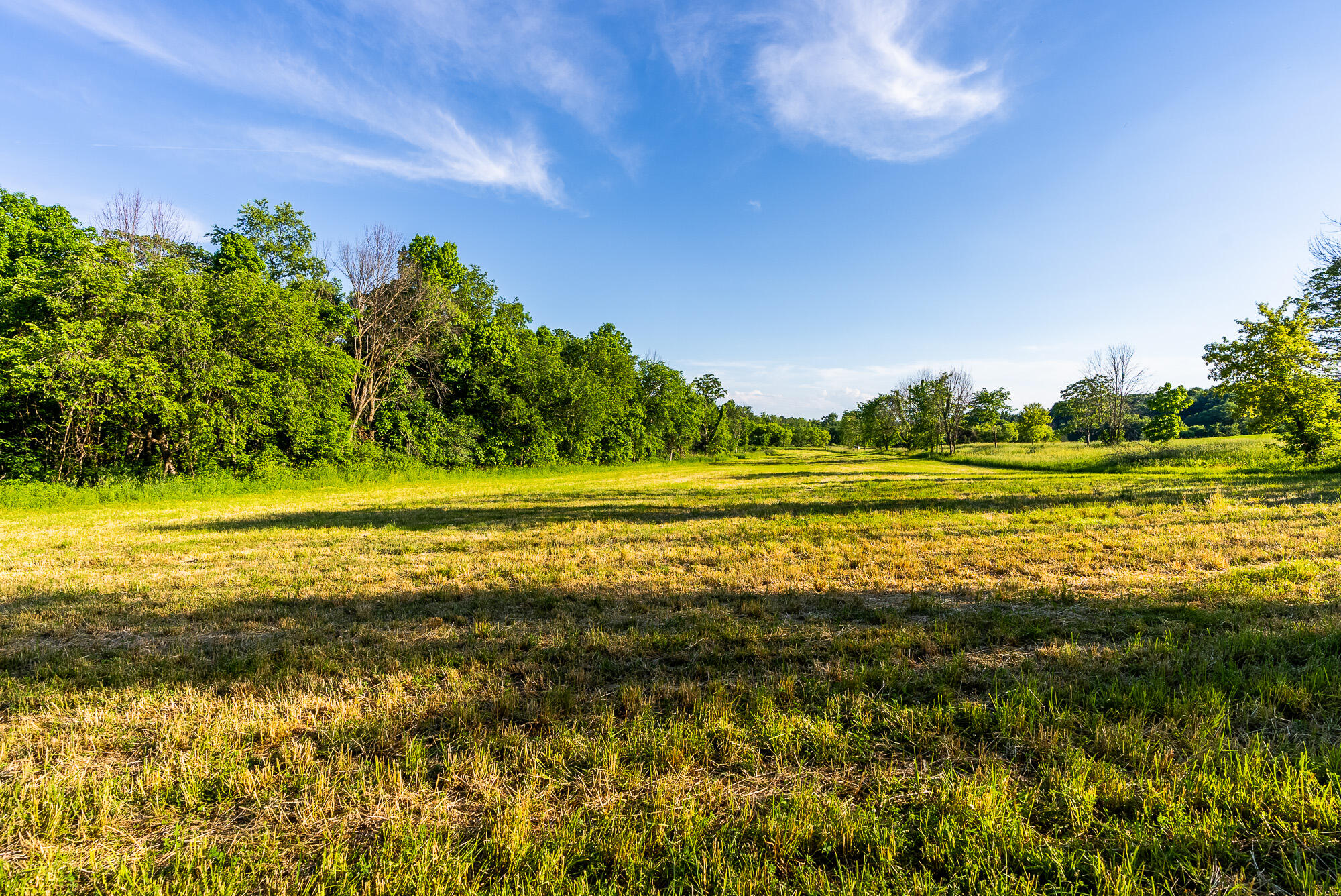 Lt0 Denzer Road North Freedom, WI 53951 - Photo 28 of 68 Sauk-County-WI-54-Acres-Land-For-Sale-28