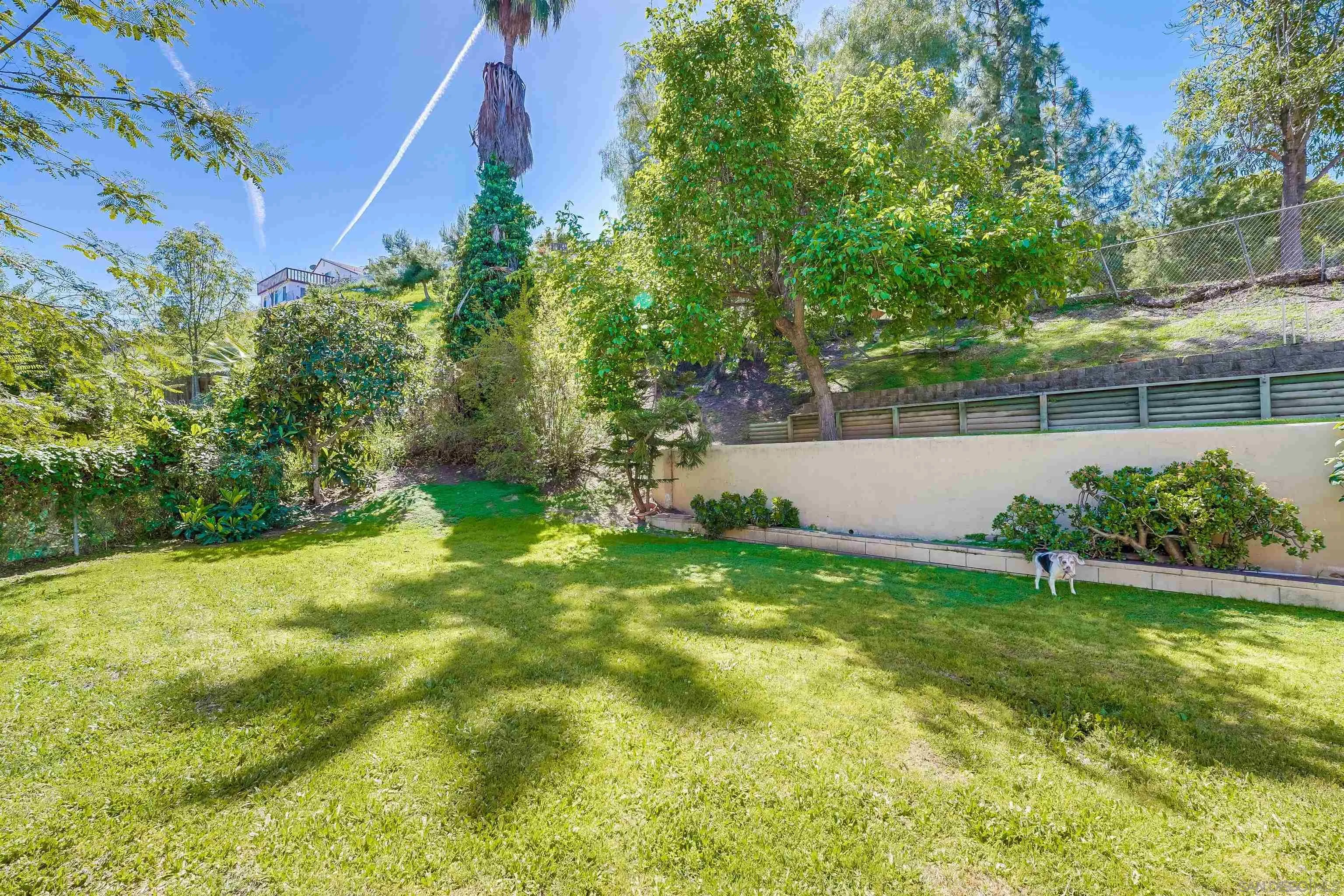 243 Parkbrook Street Spring Valley, CA 91977 - Photo 45 of 49 Gallery Image 45