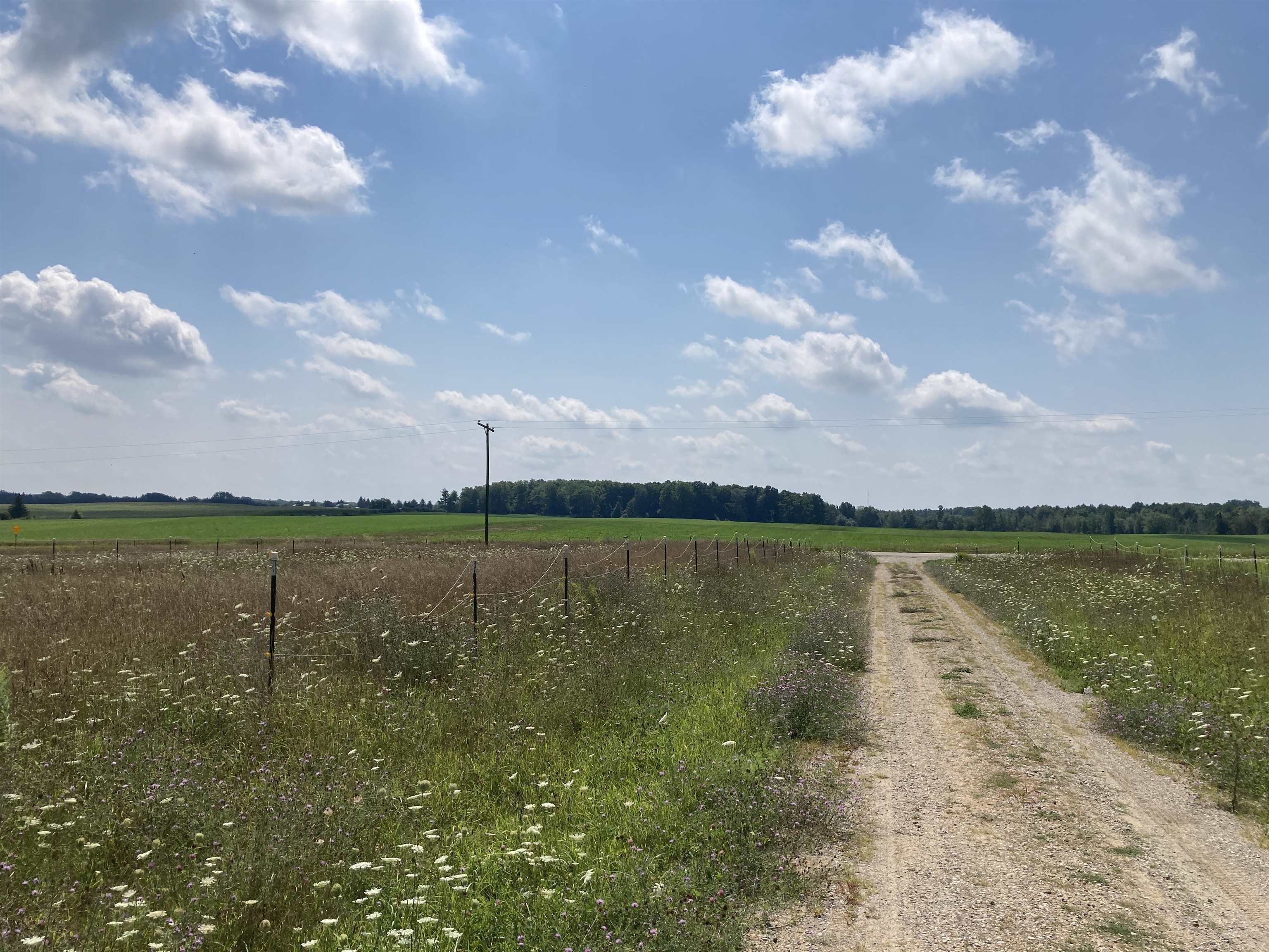 0 East Scribner Road Rose City, MI 48654 - Photo 19 of 19