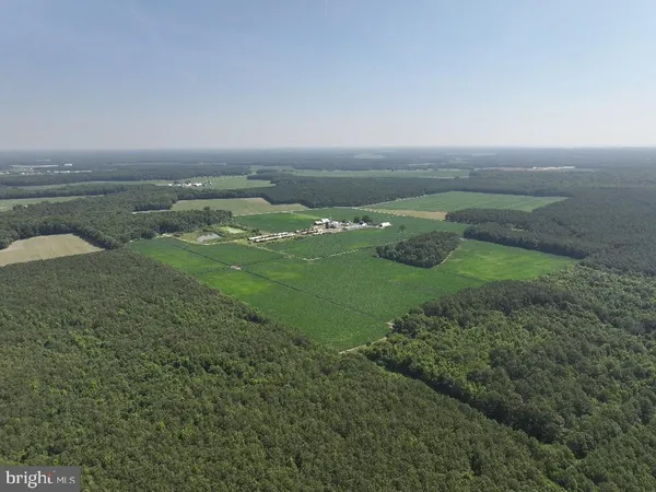 a view of a field with an ocean