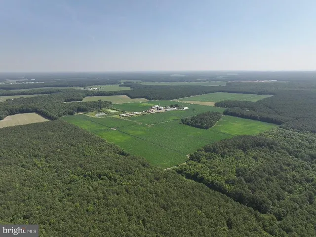 $1,250,000 | 641 Critcher Road, Pocomoke City, MD 21851