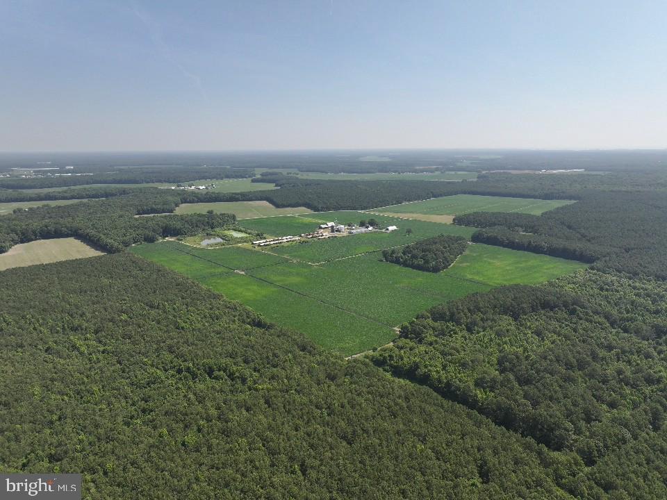 641 Critcher Road Pocomoke City, MD 21851 - Photo 11 of 32